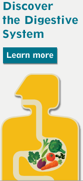 Discover the Digestive System